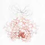 Needlework II 2013 - Mixed media, pencil on paper - 60 x 60 cm
